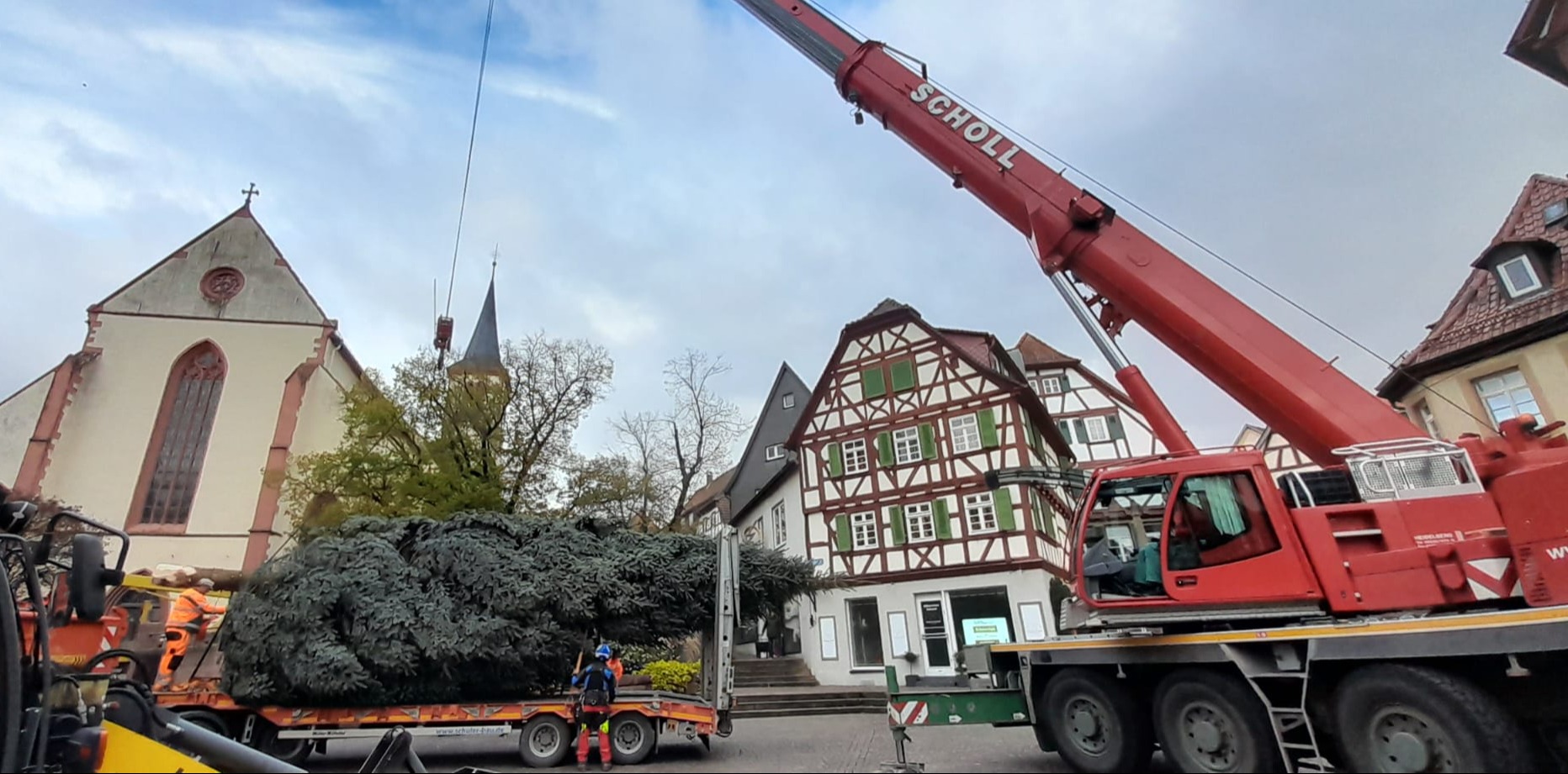 Weihnachtsbaum
